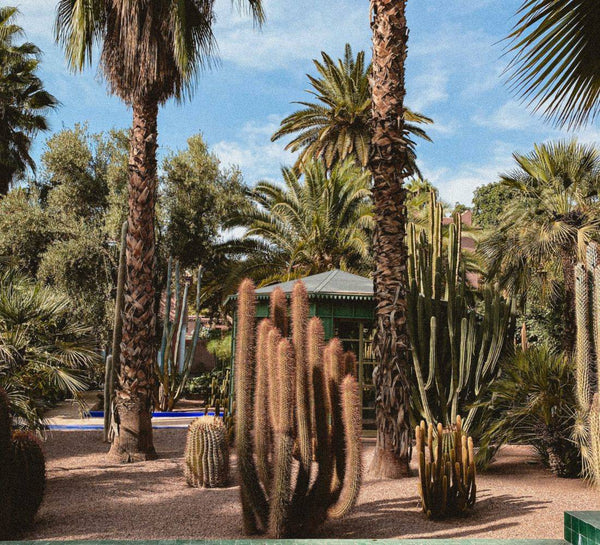 Nouvel an à Marrakech : Oser se révéler en 2024