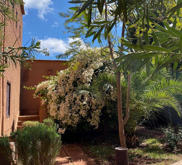 Retraite Yoga & Ressourcement Ultime à Marrakech