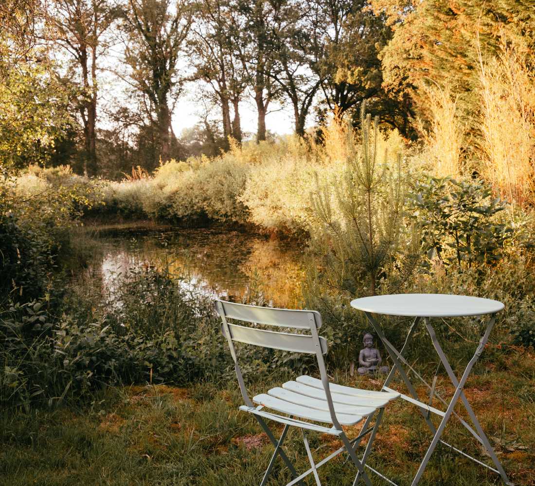 Yoga, Méditation & Cuisine Végétale en Bretagne