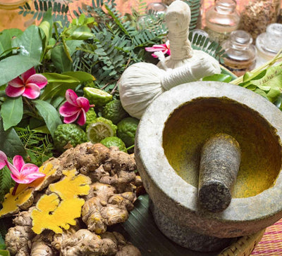 Voyage bien-être et yoga au Kerala en Inde du Sud