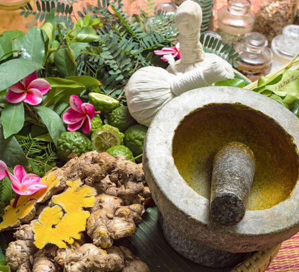 Voyage bien-être et yoga au Kerala en Inde du Sud