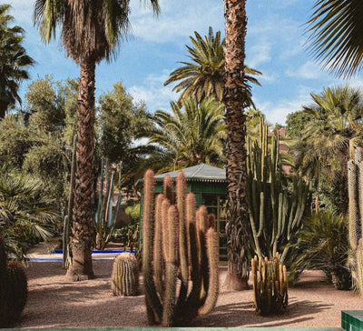 Retraite Yoga, Repos et Régénération à Marrakech