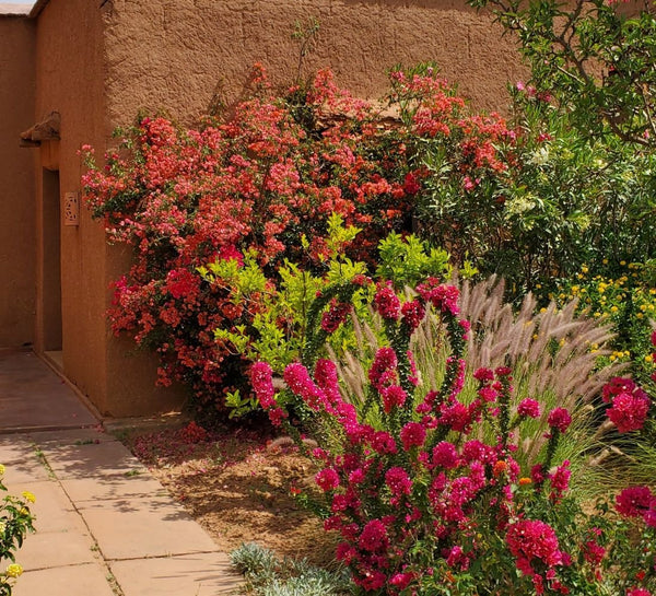 Retraite Yoga & Nouvel an à Marrakech 2023
