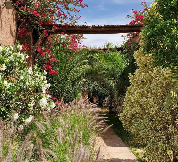 Nouvel an à Marrakech : Oser se révéler en 2024