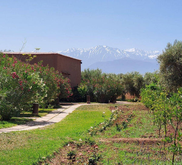 Nouvel an à Marrakech : Oser se révéler en 2024