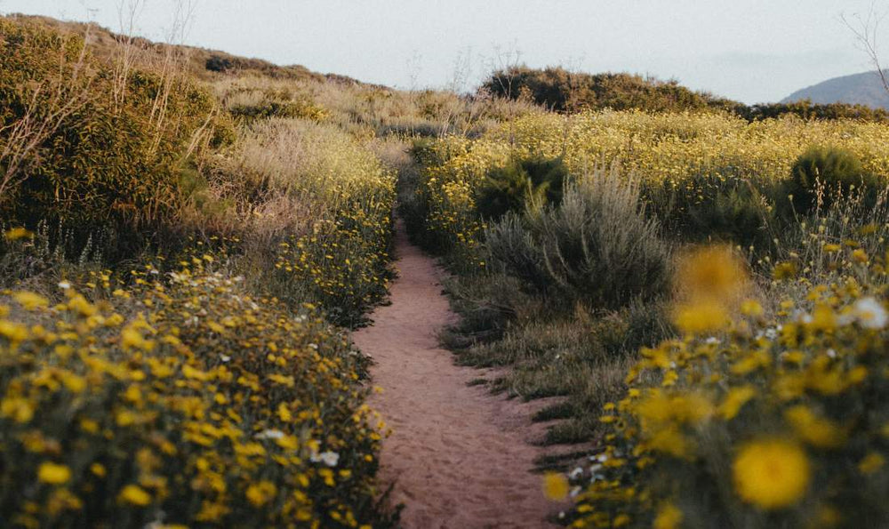 namastrip-agence-de-voyage-certifiee-namastrip-propose-des-sejours-bien-etre-en-france-et-a-l-39-etranger-animes-par-des-intervenantes-bien-etre-partez-dans-des-lieux-exceptionnels-selectionnes-avec-soin