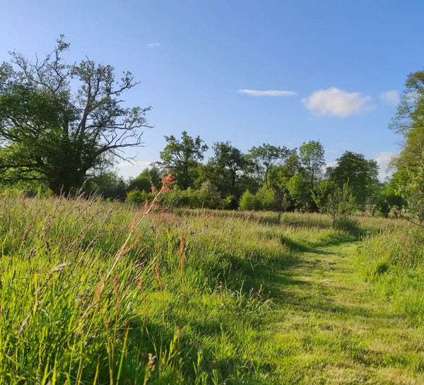 Yoga, Méditation & Cuisine Végétale en Bretagne - Séjour Bretagne