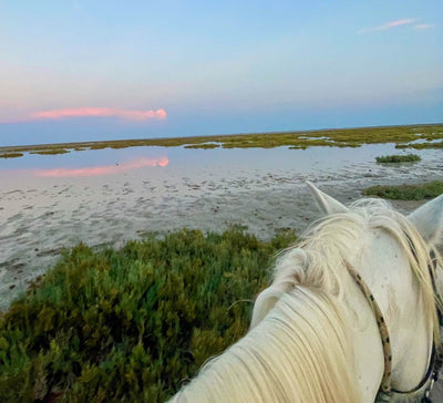 Yoga & Créativité en Camargue