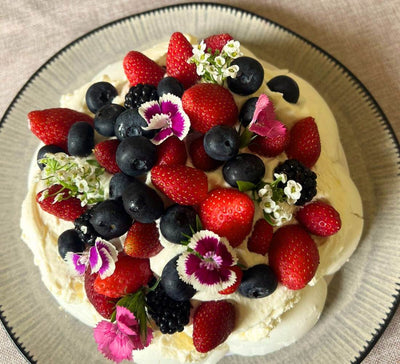 Oser 2026 : Yoga, Pilates et nouvel élan en Camargue