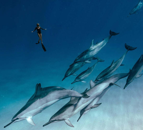 Égypte • Croisière bien-être & nage avec les dauphins