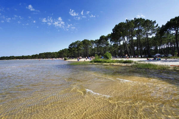 8 jours Yoga & Initiation au surf dans les Landes
