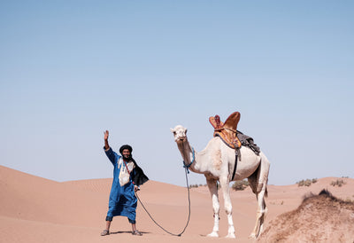 Yoga & randonnée dans le désert marocain