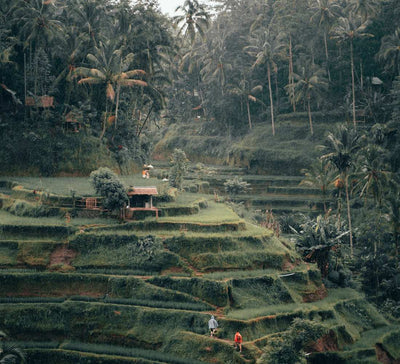 Bali • Yoga & immersion à Ubud