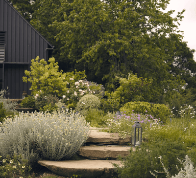 Retour à l'Essentiel : Yoga, Nature & Ressourcement en Bretagne