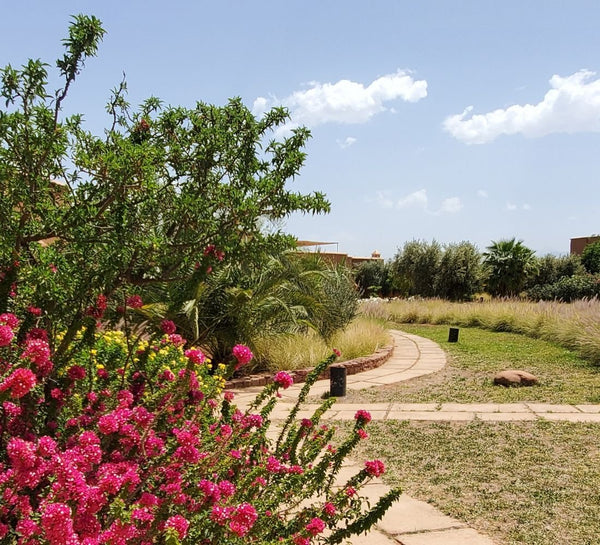 Retraite Yoga & Nouvel an à Marrakech 2023