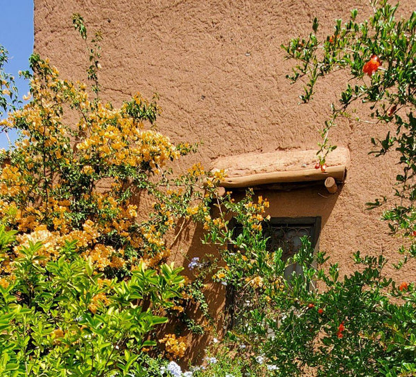 Immersion bien-être à Marrakech