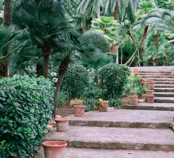 Nouvel an à Marrakech : Oser se révéler en 2024
