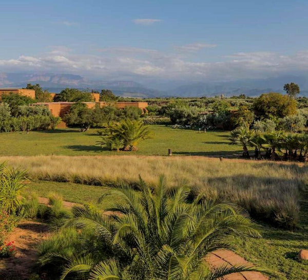 Nouvel an à Marrakech : Oser se révéler en 2024