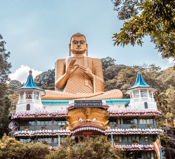 Voyage bien-être au Sri Lanka : entre jungle et océan