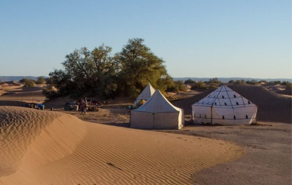 Doux passage vers 2024 dans le désert marocain