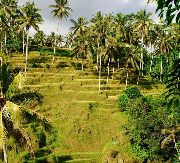 Bali Authentique • Yoga, snorkeling et cérémonies sacrées