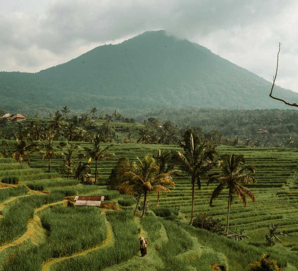Bali Authentique • Yoga, snorkeling et cérémonies sacrées