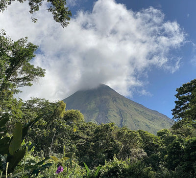 Costa Rica • Volcan, jungle & Pacifique sauvage