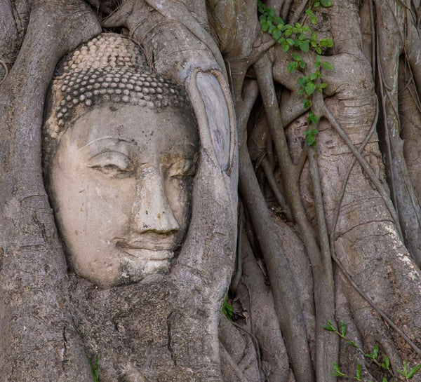 Thaïlande • Bangkok, temples & île secrète