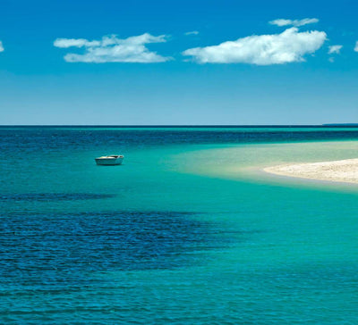 Égypte • Croisière bien-être & nage avec les dauphins