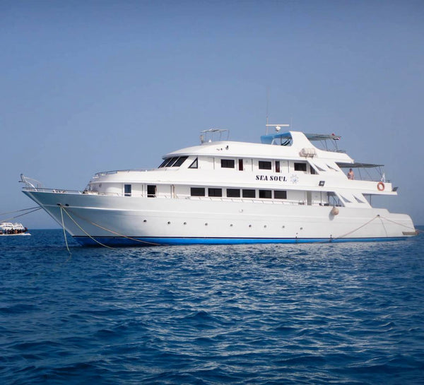 Égypte • Croisière bien-être & nage avec les dauphins