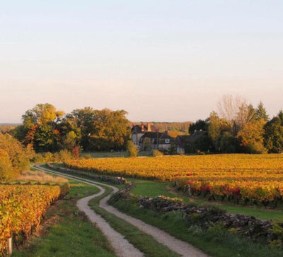 Réveillon Good Vibes : Yoga, Pilates & Énergie en Bourgogne - Séjour Bourgogne