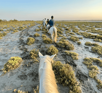 Prolongez l’expérience : balade à cheval en Camargue
