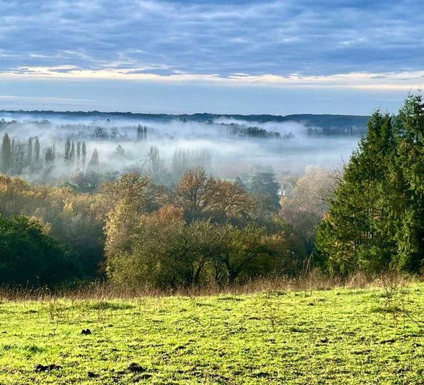 Retraite Yoga et Créativité dans la Vallée de la Loire