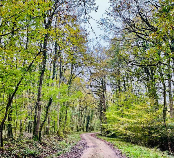 Retraite Yoga et Créativité dans la Vallée de la Loire