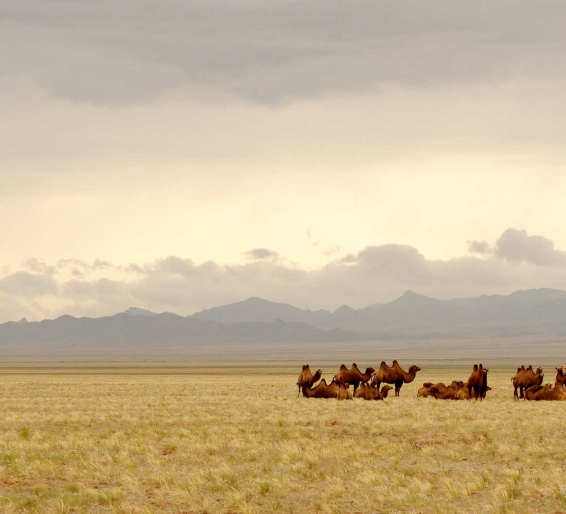 Mongolie • Aventure nomade & grands espaces - Séjour Mongolie