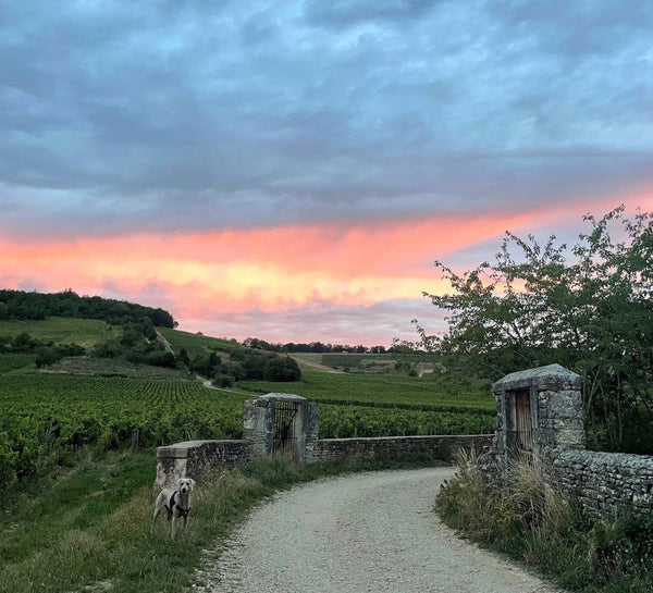 Nouvel an : Yoga, Pilates & Bien-être en Bourgogne