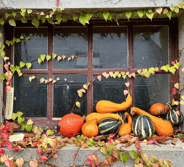 Week-end No Stress, Yoga et Cocooning en Sologne