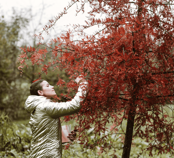 Week-end No Stress, Yoga et Cocooning en Sologne