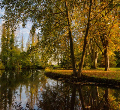 Week-end Yoga, Nature et Déconnexion totale proche de Paris