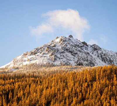 Mountain therapy, Yoga & Randonnée dans les Alpes