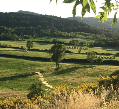 Yoga, Équilibre et Énergie dans le Sud-Ouest