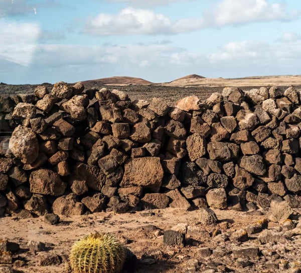 Fuerteventura • Yoga, volcans & océan