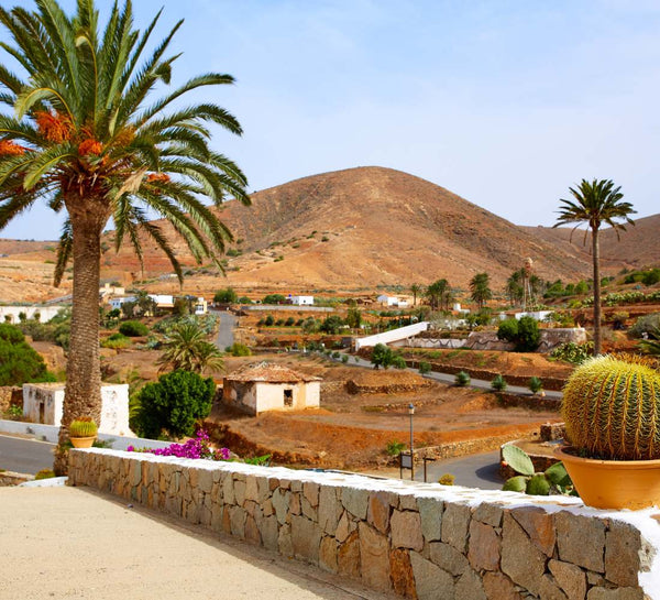 Fuerteventura • Yoga, volcans & océan