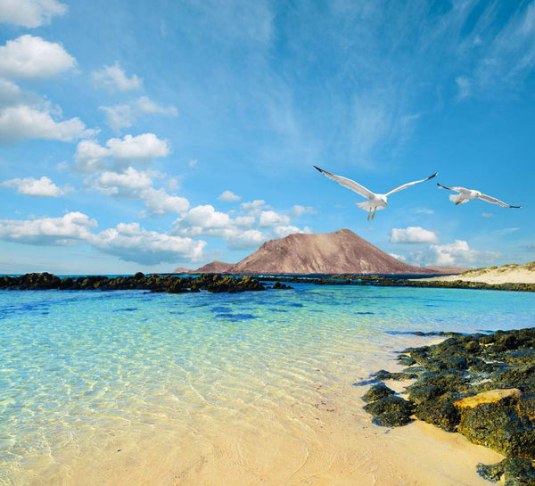 Fuerteventura • Yoga, volcans & océan