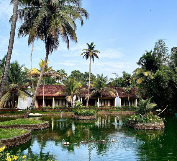 Inde du Sud • Ayurveda & exploration au cœur du Kerala