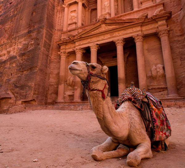 Jordanie • Petra, splendeurs du désert & mer Rouge