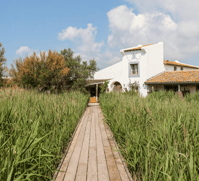 Séjour bien - être : Pilates, bains sonores et balade à cheval en Camargue - Séjour Camargue