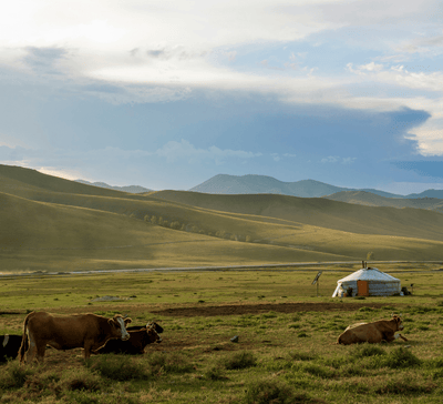Mongolie • Aventure nomade & grands espaces