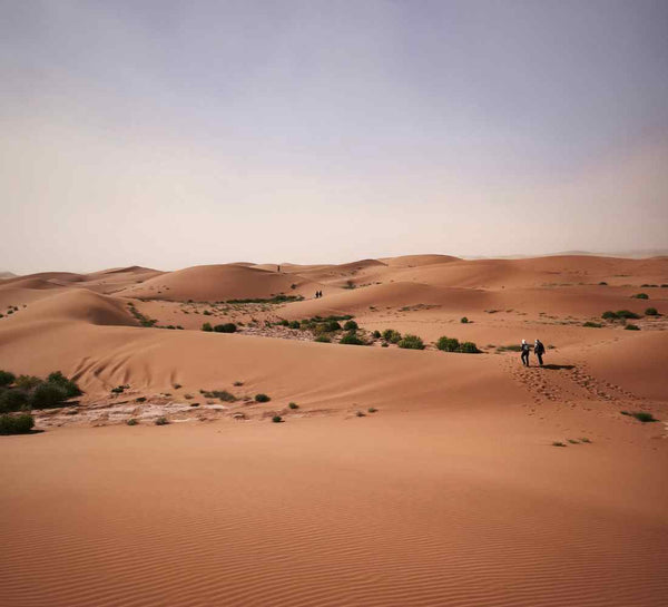 Nouvel an : Yoga & trek dans le désert marocain