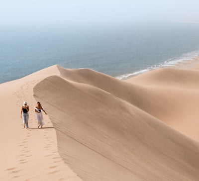 Au Cœur de l’Immensité : Safari & Déserts de Namibie